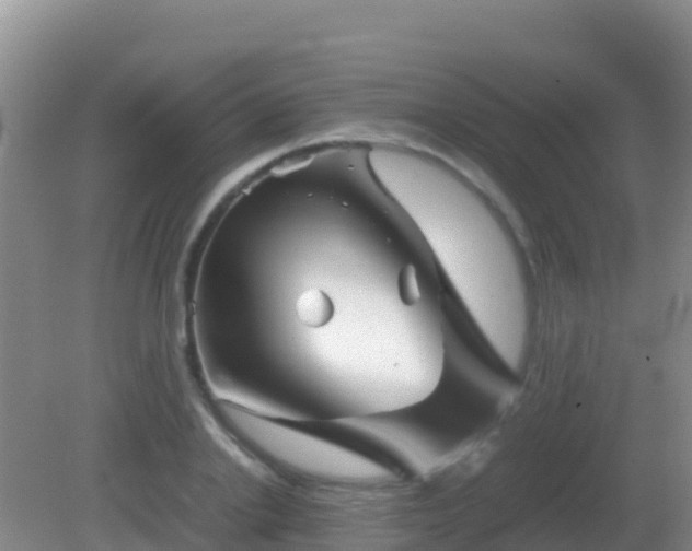 X0000082170838200701262358