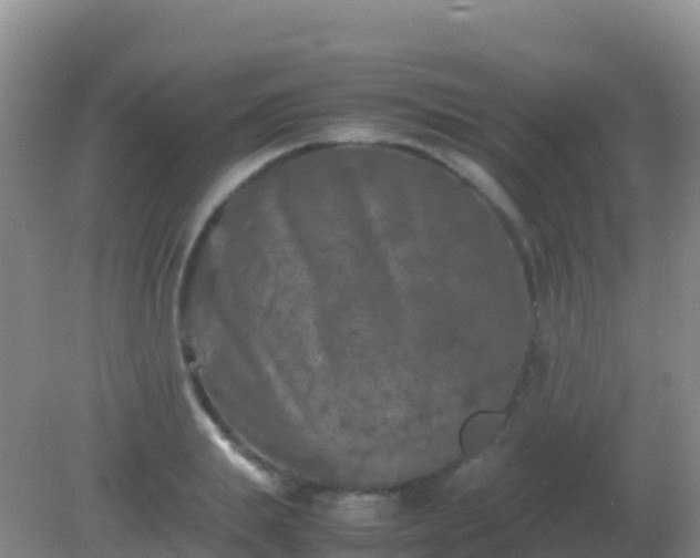 X0000082170839200701262358