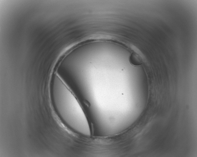 X0000082170840200701262358