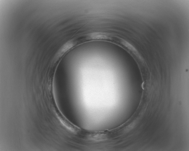 X0000082170841200701262358