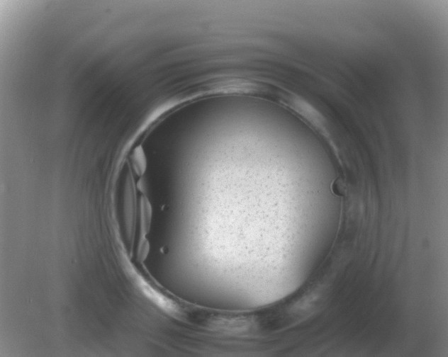 X0000082170843200701262358