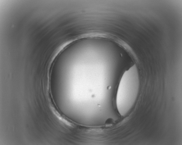 X0000082170844200701262358