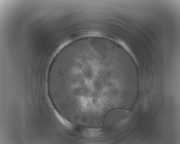 X0000082170845200701262358