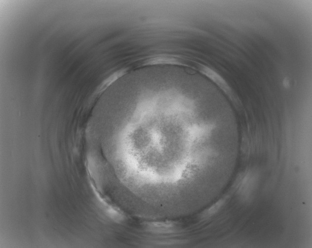 X0000082170849200701262358