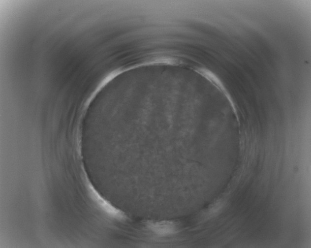 X0000082170851200701262358