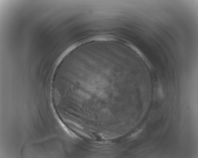 X0000082170853200701262358