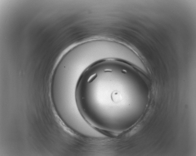 X0000082170854200701262358