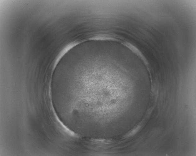 X0000082170855200701262358