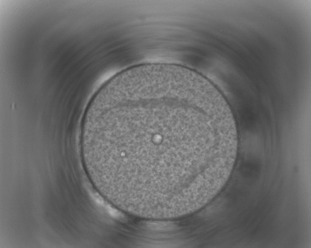 X0000082170856200701262358