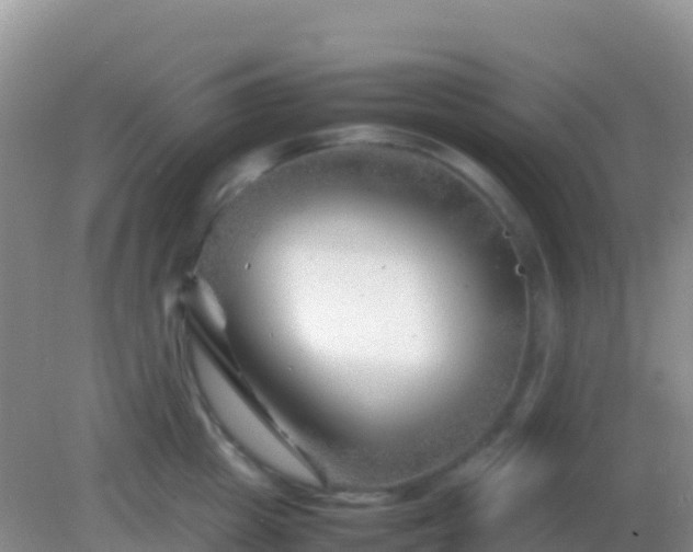 X0000082170857200701262358