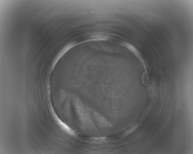 X0000082170859200701262358