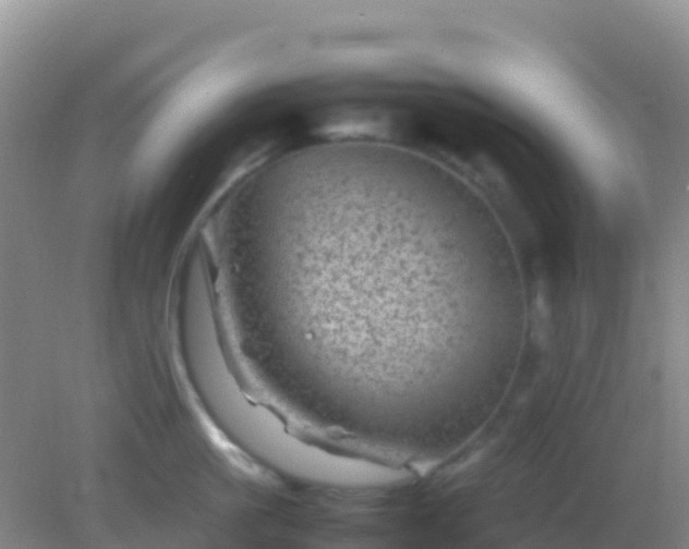 X0000082170861200701262358