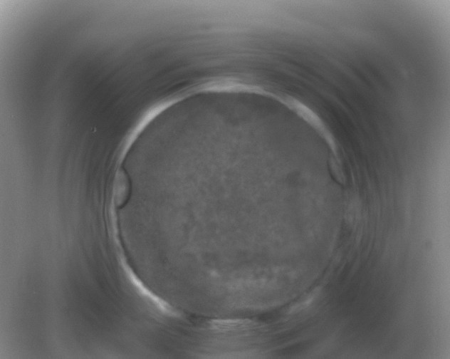 X0000082170863200701262358