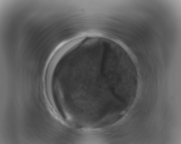 X0000082170864200701262358