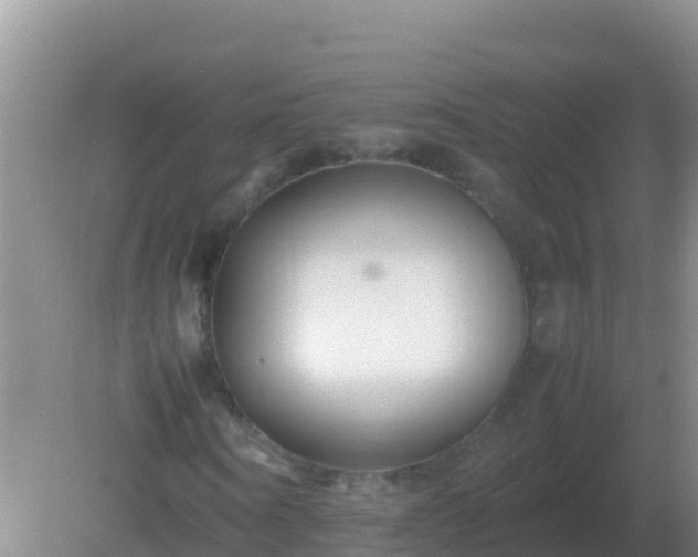 X0000082170866200701262357