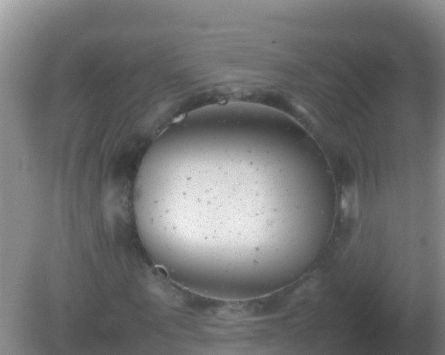 X0000082170867200701262357