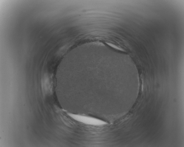 X0000082170868200701262357