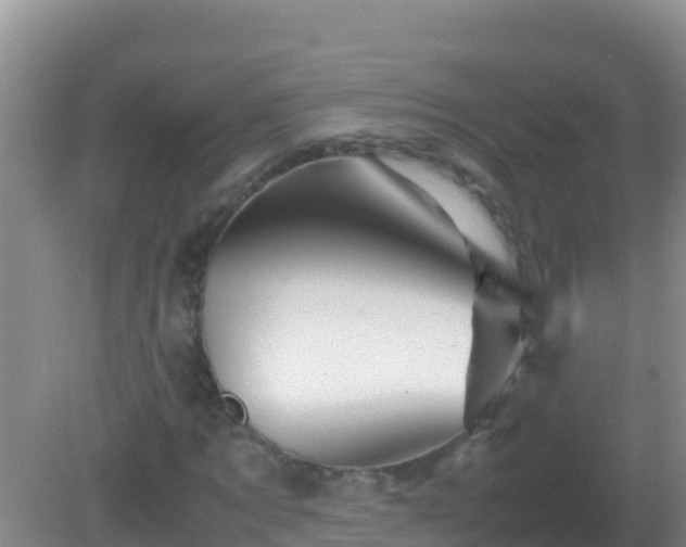 X0000082170869200701262357