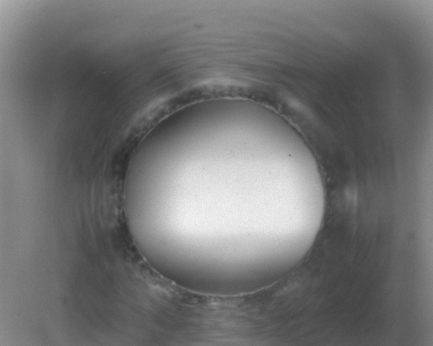 X0000082170870200701262357