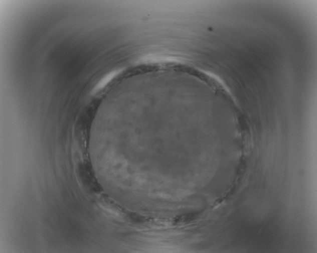 X0000082170871200701262357