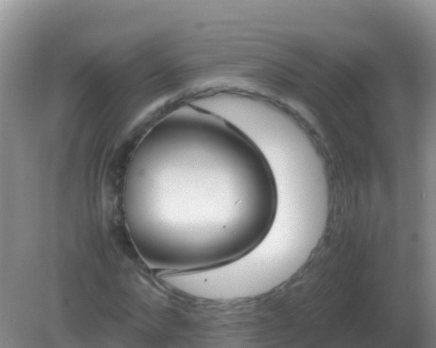 X0000082170872200701262357