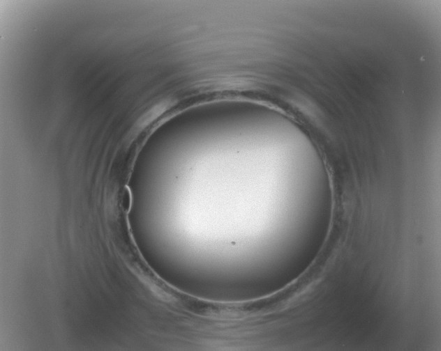 X0000082170873200701262357