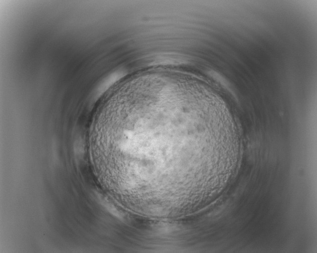 X0000082170874200701262357