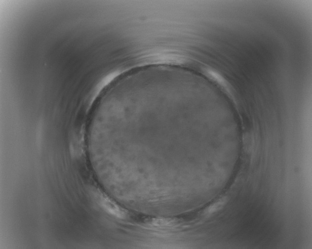 X0000082170875200701262357