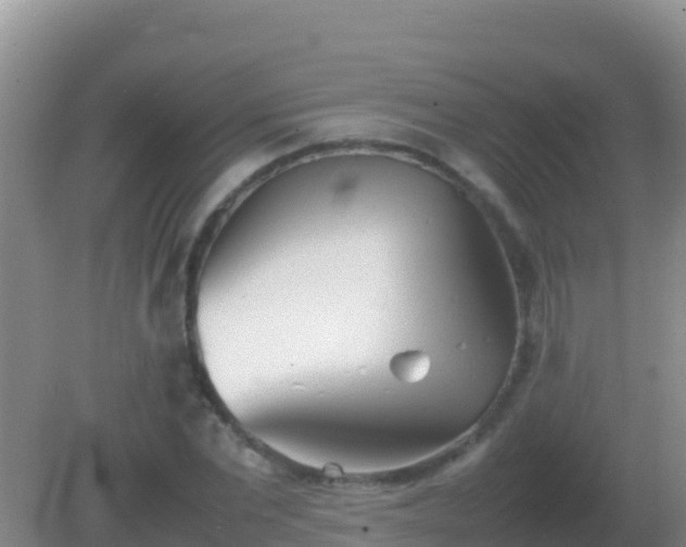 X0000082170877200701262357