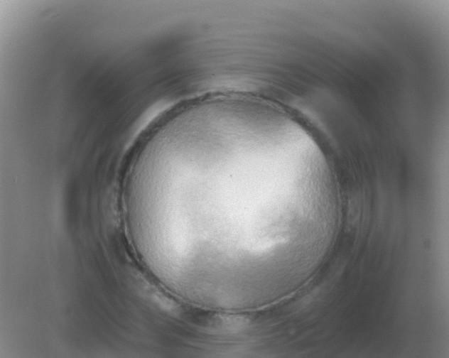 X0000082170878200701262357