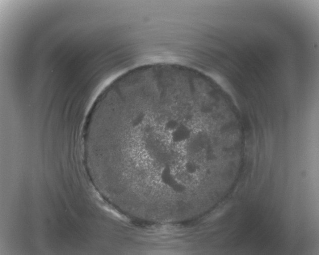 X0000082170879200701262357