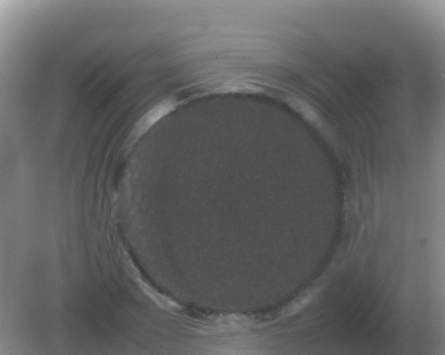 X0000082170881200701262357