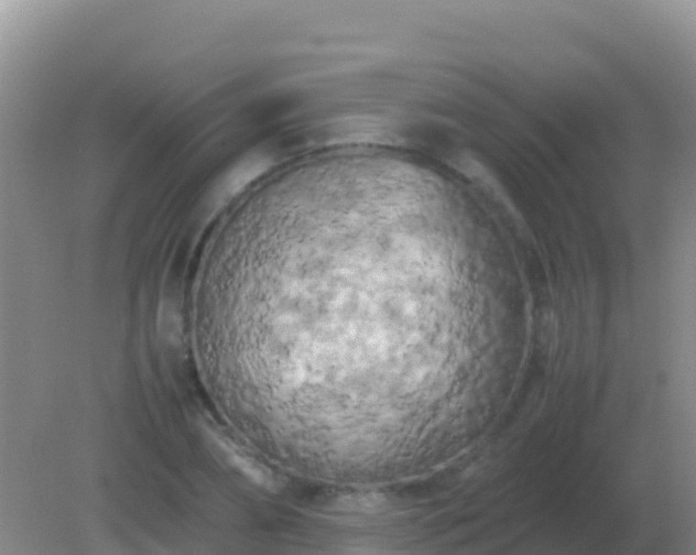 X0000082170882200701262357