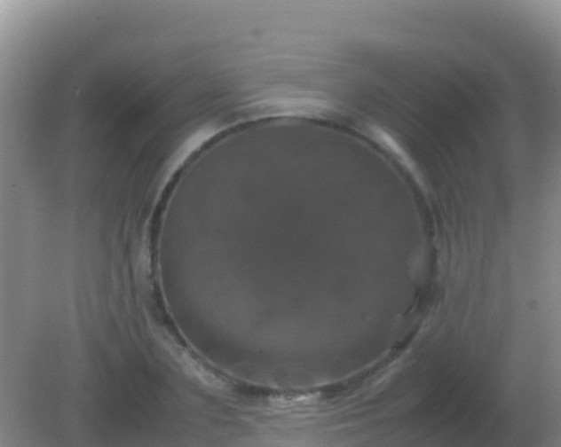 X0000082170883200701262357