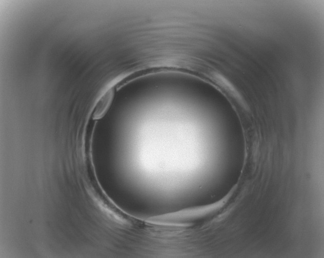 X0000082170884200701262357