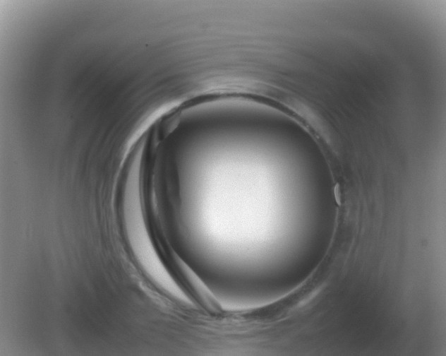 X0000082170885200701262357