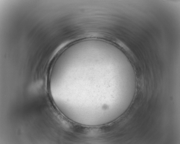 X0000082170886200701262357