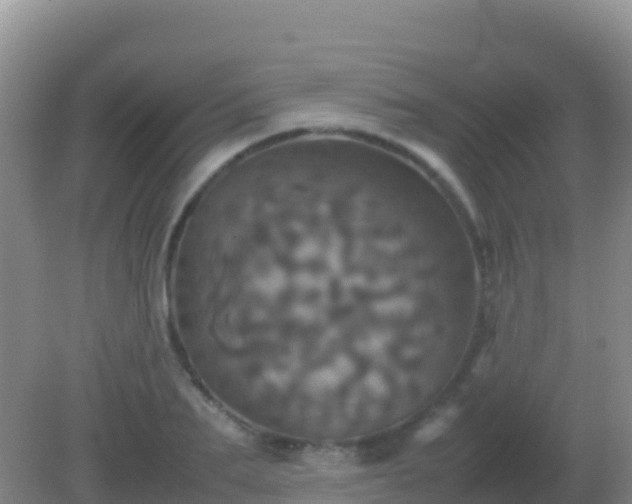 X0000082170887200701262357