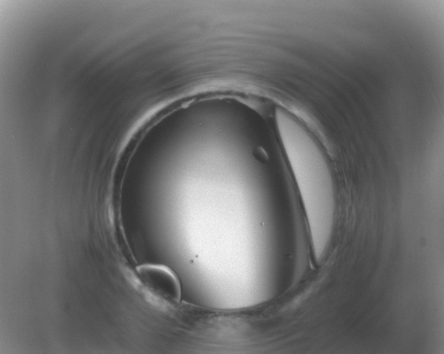 X0000082170888200701262357