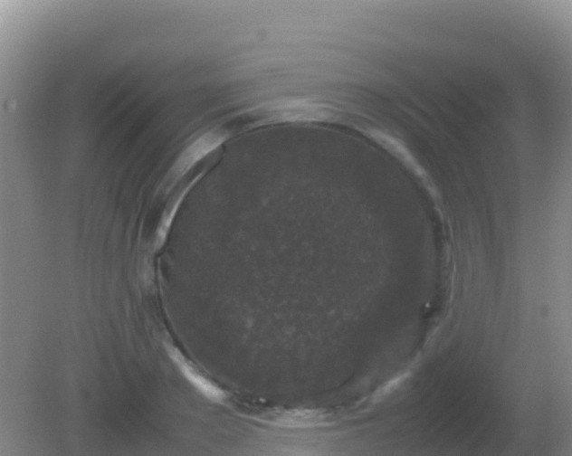 X0000082170889200701262357