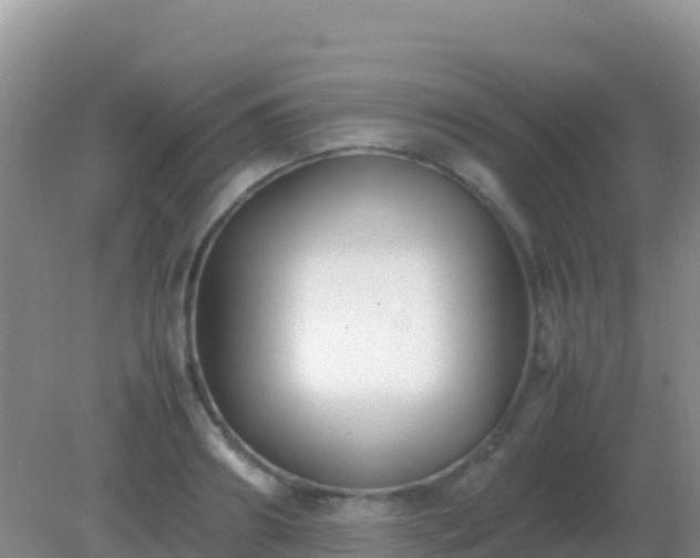 X0000082170890200701262357