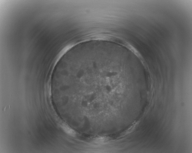 X0000082170891200701262357