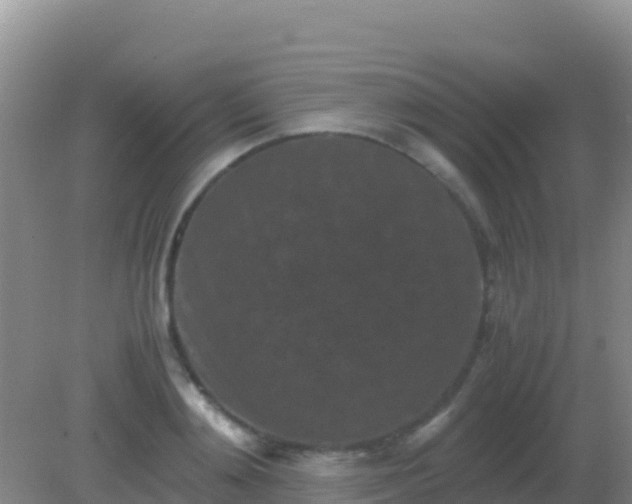 X0000082170892200701262357