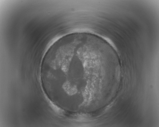 X0000082170895200701262357