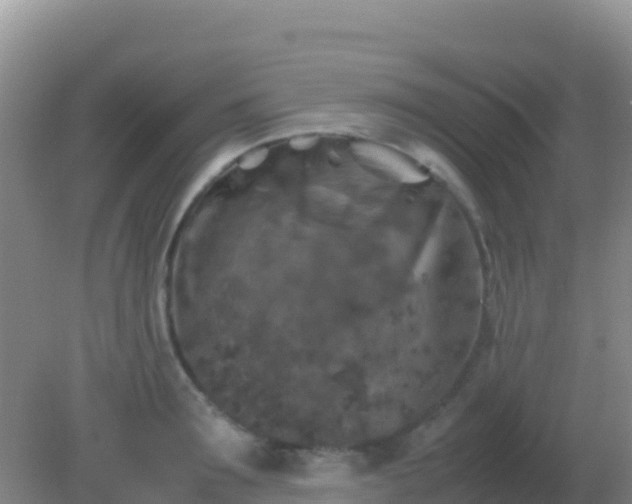 X0000082170899200701262357