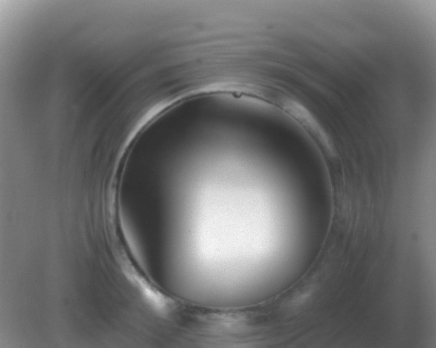 X0000082170900200701262357