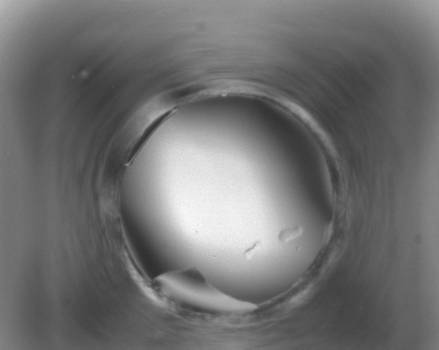 X0000082170905200701262357