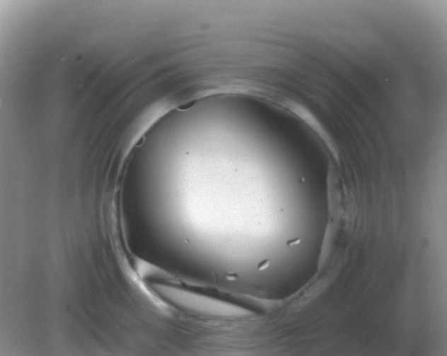 X0000082170906200701262357