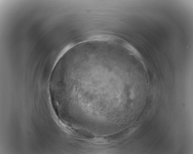 X0000082170907200701262357