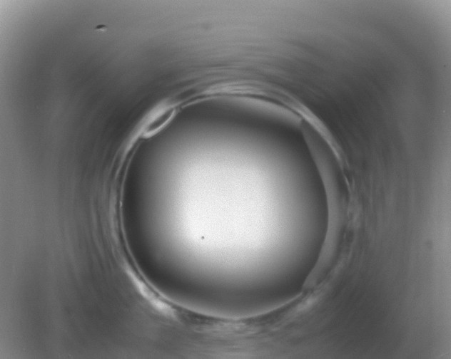 X0000082170909200701262357